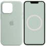 Чохол Silicone case (AAA) full with Magsafe and Animation для Apple iPhone 14 Pro Max (6.7") Бірюзовий / Succulent