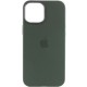 Чохол Silicone case (AAA) with Magsafe and Animation для Apple iPhone 12 Pro Max (6.7") Зелений / Cyprus Green