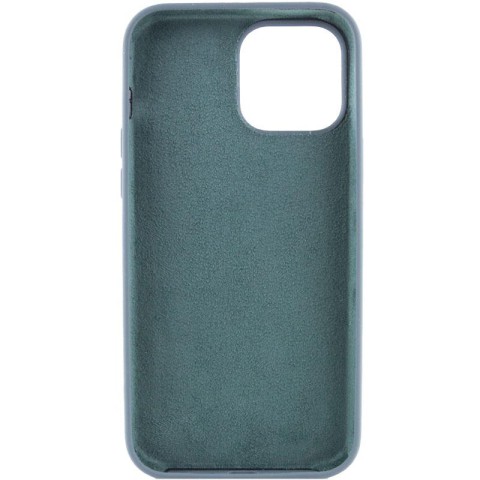 Чохол Silicone Case Full Protective (AA) NO LOGO для Apple iPhone 16 Plus (6.7") Зелений / Cactus