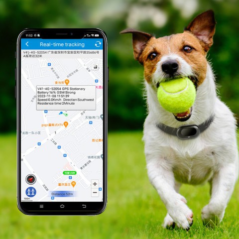 Трекер GPS для тварин V41 Pet Tracker SIM (4GLTE+3GWCDMA+2GGSM) 1300mAh White