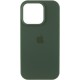 Чохол Silicone Case (AA) Logo with MagSafe для Apple iPhone 13 Pro Max (6.7") Зелений / Cyprus Green