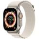 Ремінець Alpine Loop для Apple watch 42mm/44mm/45mm/49mm (m/l) Сірий / Starlight