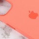 Чохол Silicone case (AAA) with Magsafe and Animation для Apple iPhone 13 (6.1") Рожевий / Pink Pomelo Чохол Silicone case (AAA) with Magsafe and Animation для Apple iPhone 13 (6.1") Рожевий / Pink Pomelo