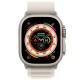 Ремінець Alpine Loop для Apple watch 42mm/44mm/45mm/49mm (m/l) Сірий / Starlight