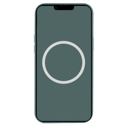 Чохол Silicone case (AAA) with Magsafe and Animation (button) для Apple iPhone 16 Pro (6.3") Lake Green