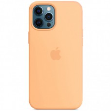 Чехол Silicone case (AAA) with Magsafe для Apple iPhone 12 Pro Max (6.7")