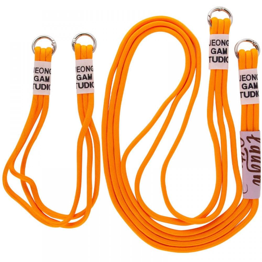 Чехол TPU two straps California для Apple iPhone 12 Pro / 12 (6.1")