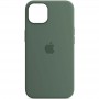 Чохол Silicone case (AAA) full with Magsafe and Animation для Apple iPhone 13 (6.1") Зелений / Eucalyptus
