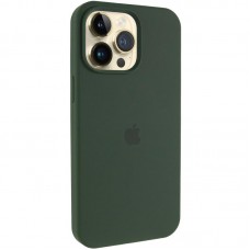 Чохол Silicone Case (AA) Logo with MagSafe для Apple iPhone 14 Pro Max (6.7") Зелений / Cyprus Green