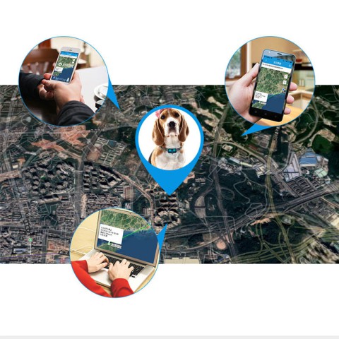 Трекер GPS для тварин V43 Pet Tracker SIM (4GLTE+3GWCDMA+2GGSM) 500mAh White