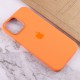 Чохол Silicone case (AAA) full with Magsafe and Animation для Apple iPhone 12 Pro / 12 (6.1") Помаранчевий / Kumquat