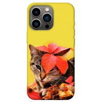 TPU чохол Demsky Осенний котик