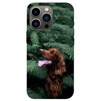 TPU чохол Demsky Собака в зелени