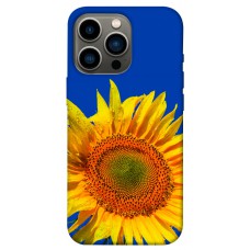 Чохол Sunflower