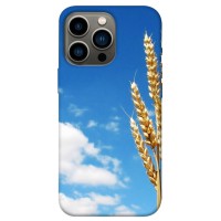 TPU чохол Demsky Пшеница