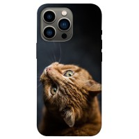 TPU чохол Demsky Рыжий кот