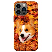 TPU чохол Demsky Корги в листьях