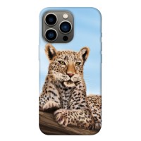 TPU чохол Demsky Proud leopard