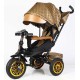 Велосипед триколісний Best Trike Perfetto, гумові колеса, 8066/910-25