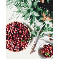 Набір для розпису по номерах Рецепт щастя, 40x50 см, BS52499