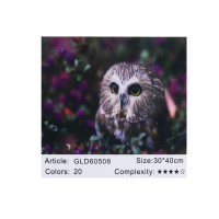 Алмазна мозаїка за номерами Сова 60508, 30x40 см