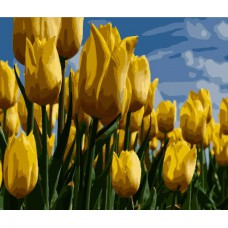 Картина за номерами  поле жовтих тюльпанів strateg розміром 40х50 см (gs260)