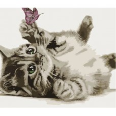 Картина за номерами  кошеня з метеликом strateg розміром 30х40 см (ss6734)