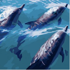 Картина за номерами  швидкі дельфіни strateg розміром 40х40 см (sk034)