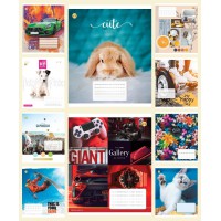 Зошити учнівські 18 аркушів клітинка Тверда ТЕ21214 18КВ2 МІКС, 20 шт. в упаковці