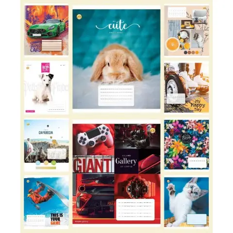 Зошити учнівські 18 аркушів клітинка Тверда ТЕ21214 18КВ2 МІКС, 20 шт. в упаковці