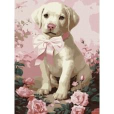 Набір для розпису по номерах "Пухнастий подарунок" Ideyka 30х40см КНО6755