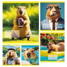 Тетради ученические 24 листа клетка Тверда CAPYBARA, 20 шт. в упаковке