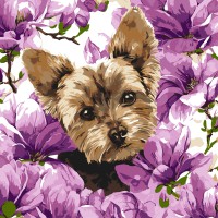 Картина за номерами Йорк в магнолії Ideyka 40×40 см КНО6796