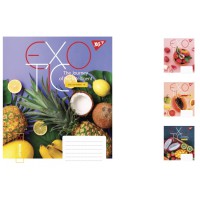 Зошити учнівські 48 аркушів лінія YES Exotic, 10 шт. в упаковці