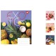 Зошити учнівські 48 аркушів лінія YES Exotic, 10 шт. в упаковці