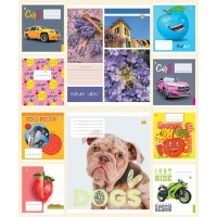 Зошити учнівські 12 аркушів лінія Тверда ТЕ22108 12ЛВ4 МІКС, 25 шт. в упаковці