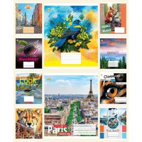 Зошити учнівські 60 аркушів клітинка Тверда ТЕ41601 Мікс 1, 10 шт. в упаковці