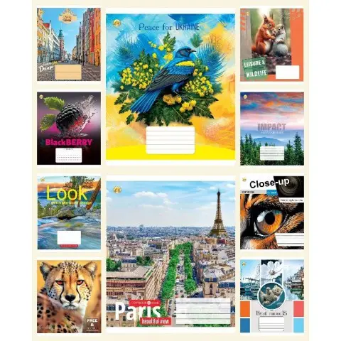 Зошити учнівські 60 аркушів клітинка Тверда ТЕ41601 Мікс 1, 10 шт. в упаковці