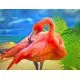 Алмазна мозаїка на підрамнику Фламінго 40×50 см 70847_BGLE