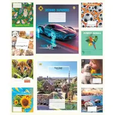 Тетради ученические 12 листов линия Твердая ТЕ42106 12ЛВ6 МИКС, 25 шт. в упаковке