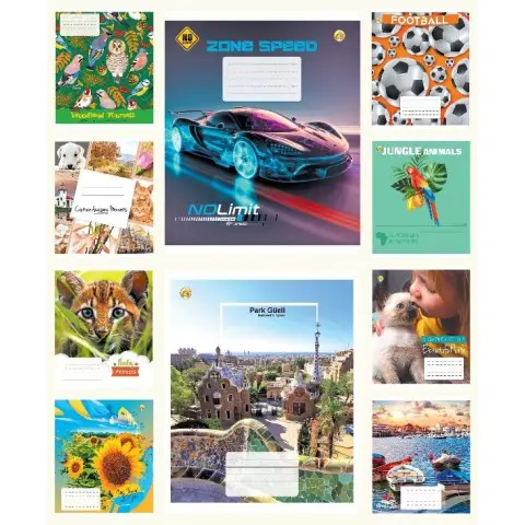 Зошити учнівські 12 аркушів лінія Тверда ТЕ42106 12ЛВ6 МІКС, 25 шт. в упаковці