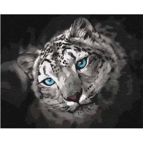 Набір для розпису по номерах Небесний погляд, 40x50 см, КНО4306