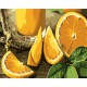 Набір для розпису по номерах Соковитий апельсин, Strateg, 30x40 см, LY54
