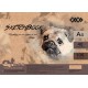 Скетчбук Art Line ZB.1483 А4, 40 аркушів