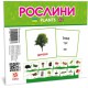 Картки міні Світ рослин, 110x110 мм, 28.5