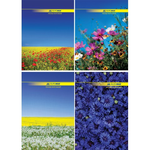 Книга обліку, А4, 96 арк., клітинка, офсет, тверда ламінована обкладинка