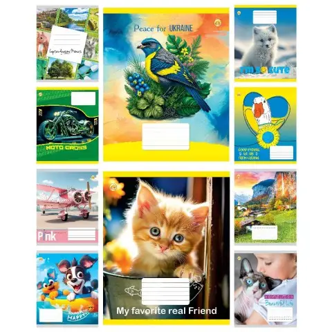 Тетради ученические 12 листов клетка ТЕ41104, 25 шт. в упаковке