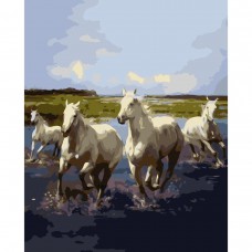 Картина за номерами  четвірка лошадей 40х50 см (va-0362) з лаком і рівнем tm strateg