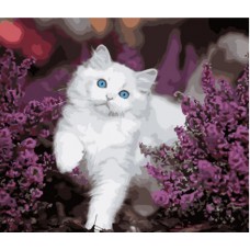 Картина за номерами  котик із блакитними очима strateg розміром 40х50 см (gs1009)