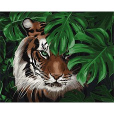 Картина за номерами  "амурський тигр" 40х50см кно6519